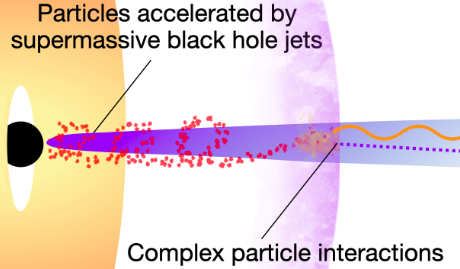 Cartoon of a jet launched by a black hole, where particles accelerated to high energies emit complex radiative signatures